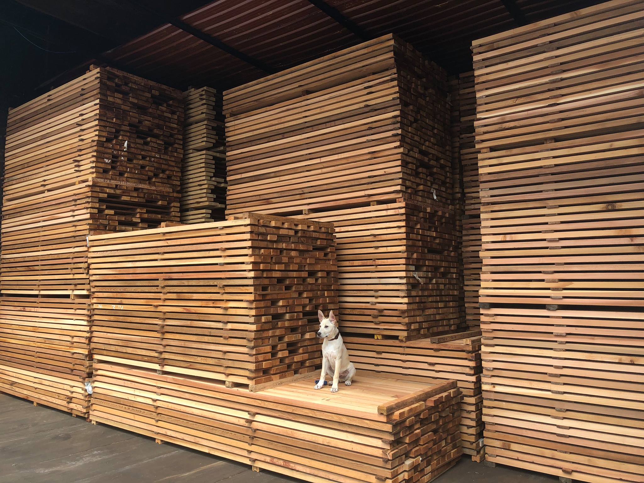 Lumber 101 Green Vs Kiln Dried Lumberstore ca